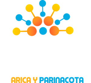 Economía de datos Arica y Parinacota